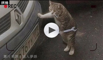 [精選影片]