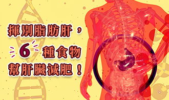 [焦點文章]