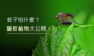 [焦點文章]